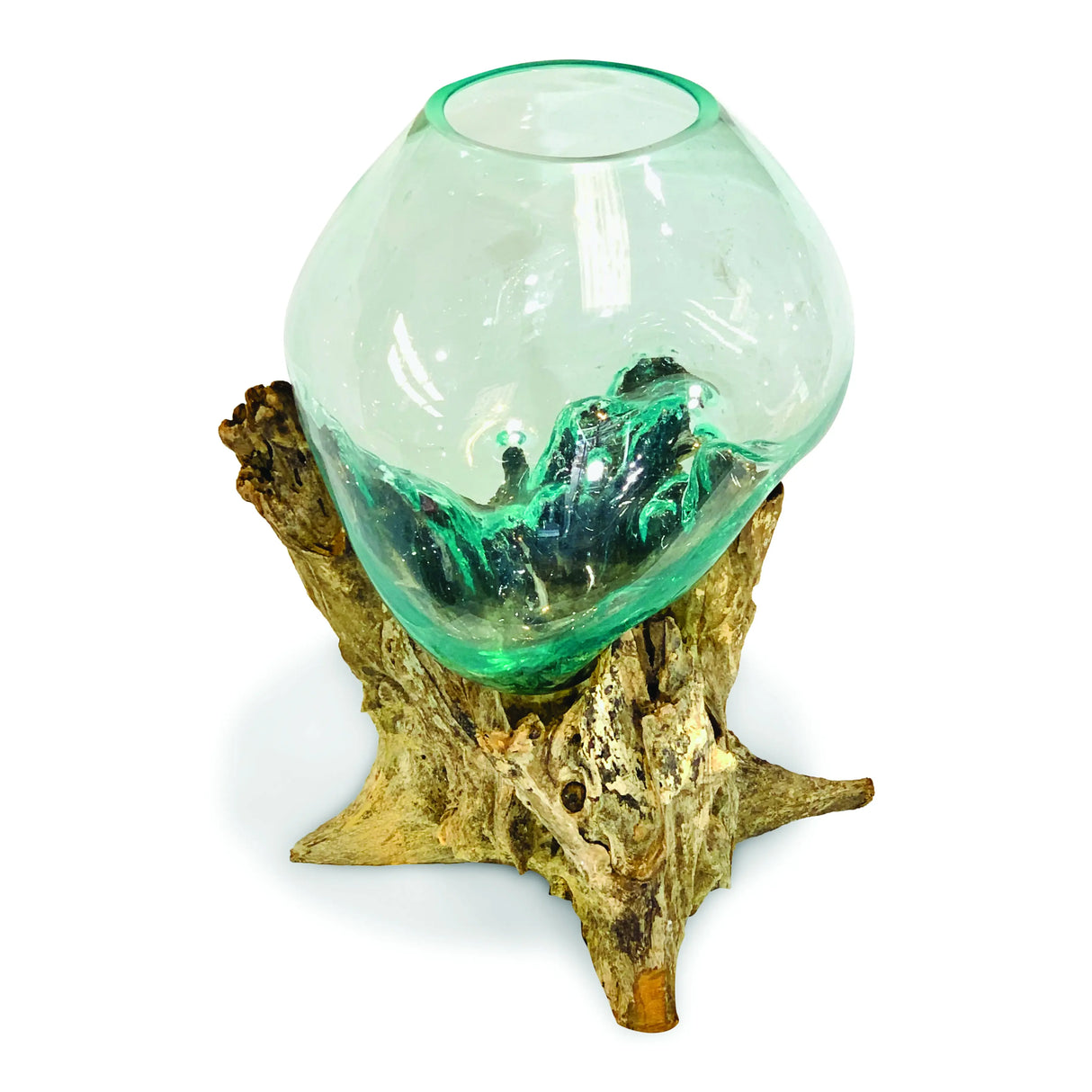 ROOT WITH GLASS SPHERE VIVARIUM