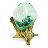 ROOT WITH GLASS SPHERE VIVARIUM
