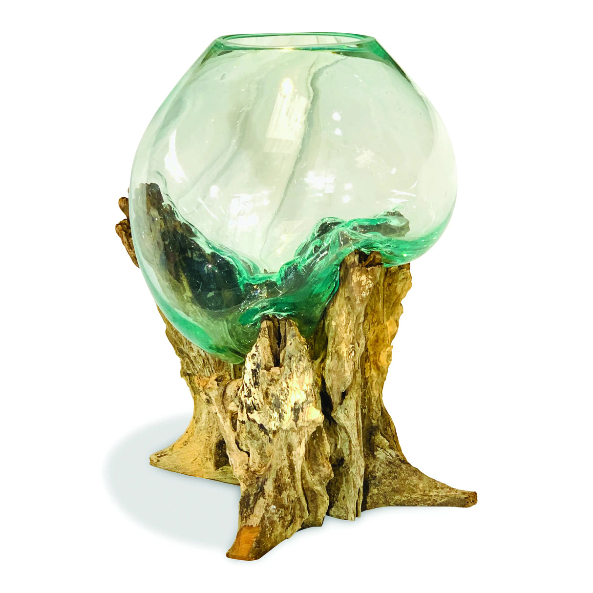 ROOT WITH GLASS SPHERE VIVARIUM