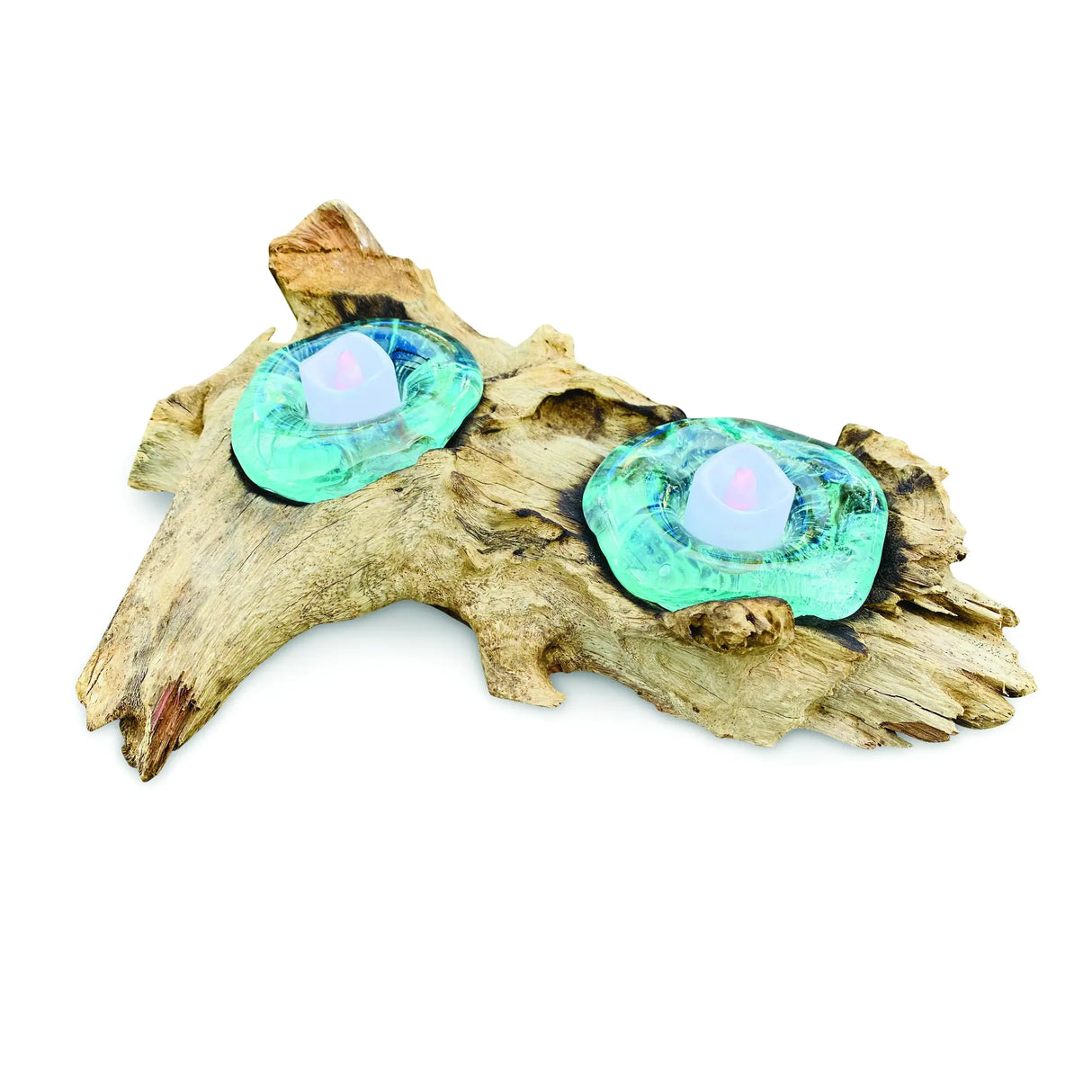 ROOT WITH GLASS CANDLE HOLDER DOUBLE