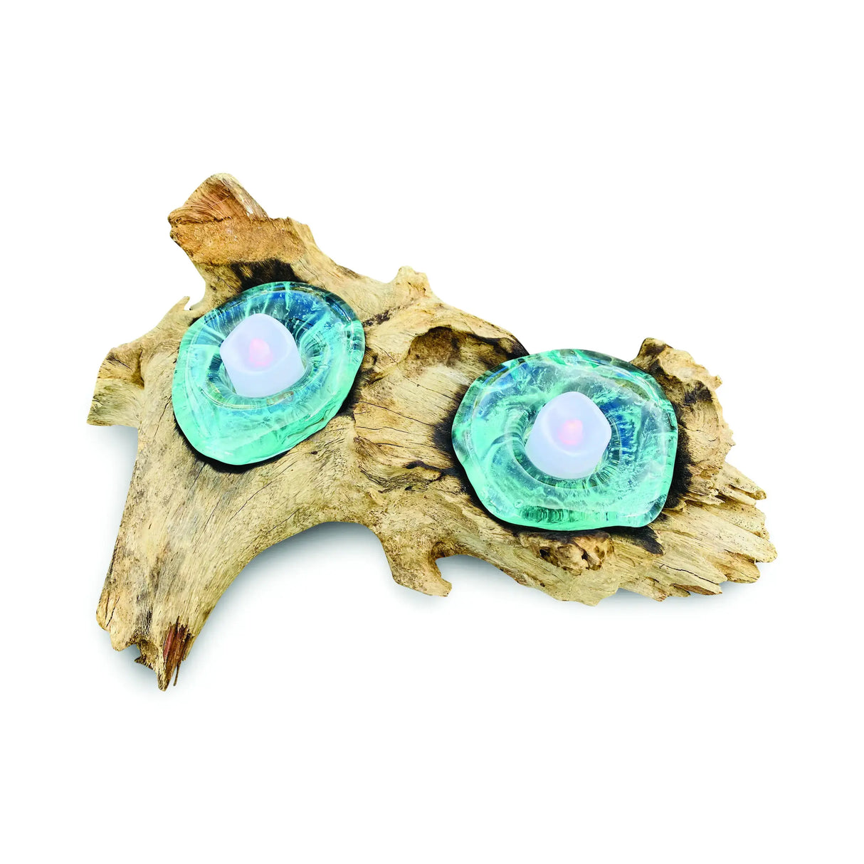 ROOT WITH GLASS CANDLE HOLDER DOUBLE