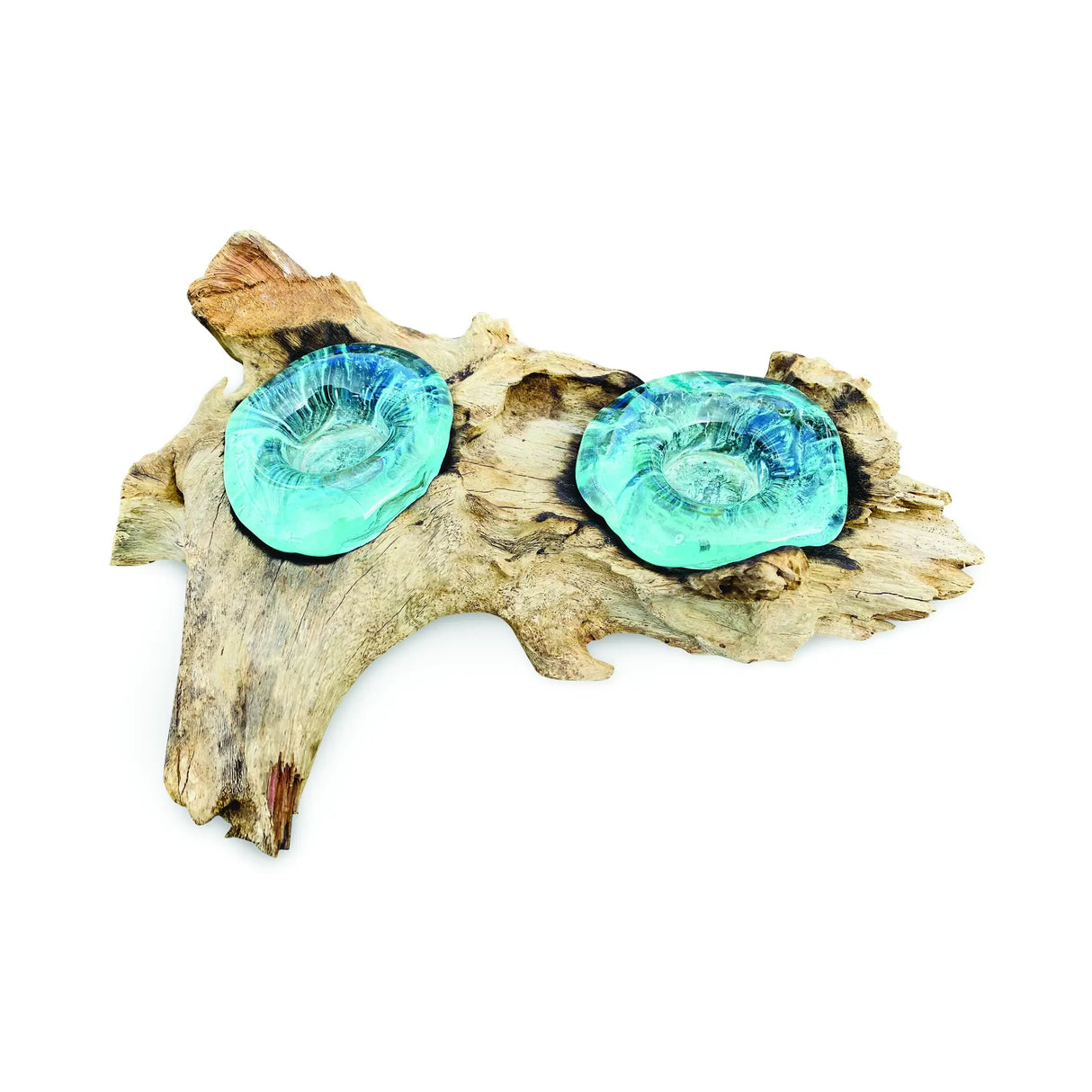 ROOT WITH GLASS CANDLE HOLDER DOUBLE