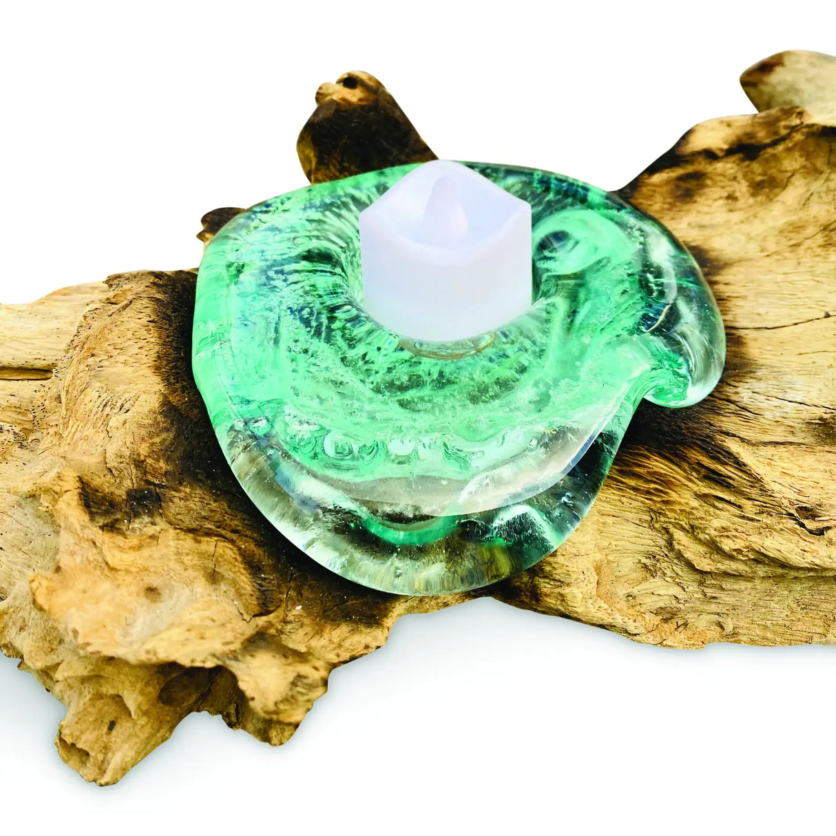 ROOT WITH GLASS CANDLE HOLDER DOUBLE