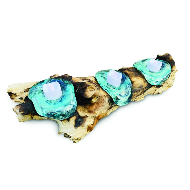 ROOT WITH GLASS CANDLE HOLDER TRIPLE