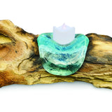 ROOT WITH GLASS CANDLE HOLDER TRIPLE