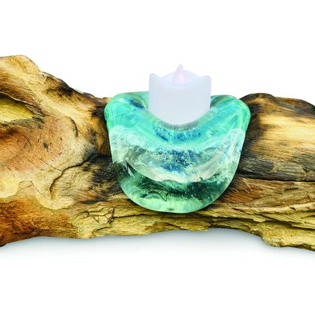 ROOT WITH GLASS CANDLE HOLDER TRIPLE