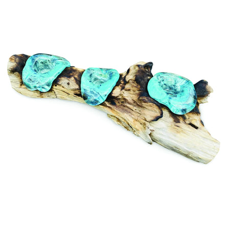 ROOT WITH GLASS CANDLE HOLDER TRIPLE