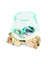 ROOT WITH GLASS BOWL TINY