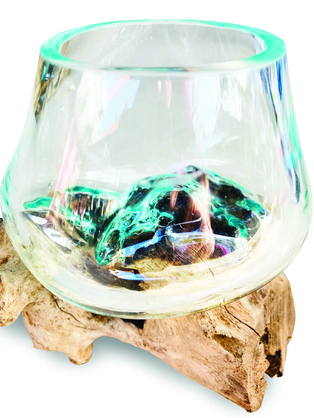 ROOT WITH GLASS BOWL TINY