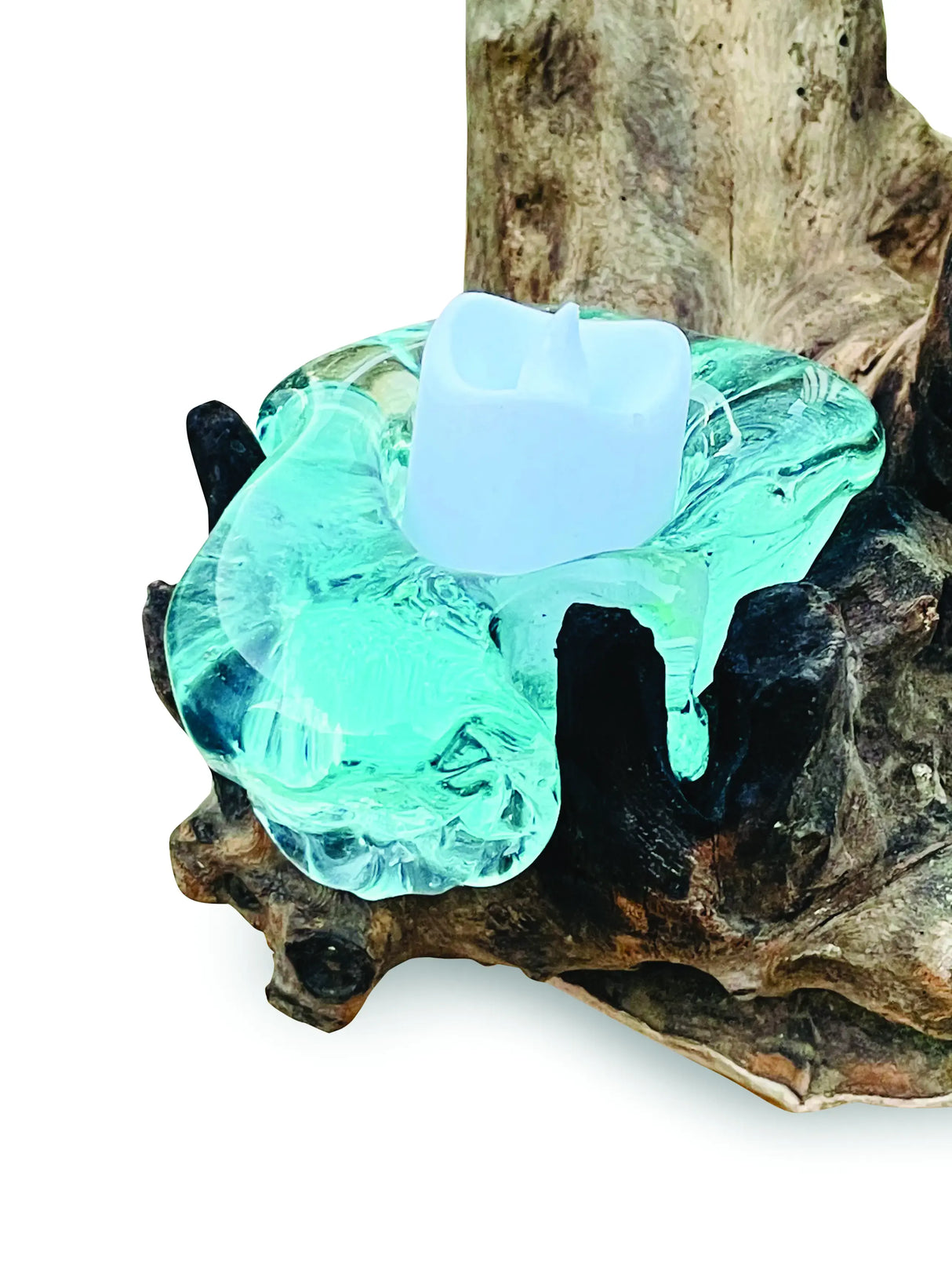 ROOT WITH GLASS 4 CANDLE HOLDER TALL