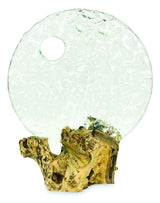 ROUND GLASS SCULPTURE ON ROOT