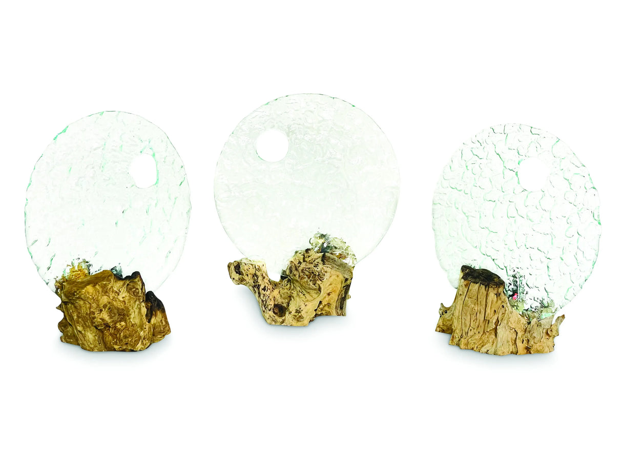 ROUND GLASS SCULPTURE ON ROOT
