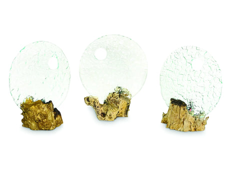 ROUND GLASS SCULPTURE ON ROOT