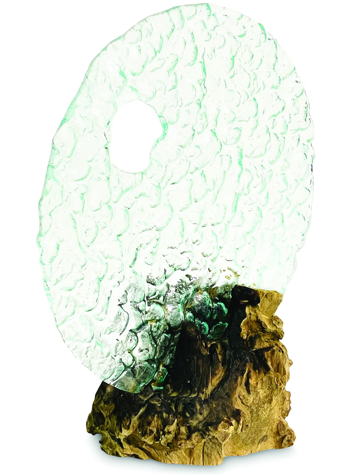 ROUND GLASS SCULPTURE ON ROOT