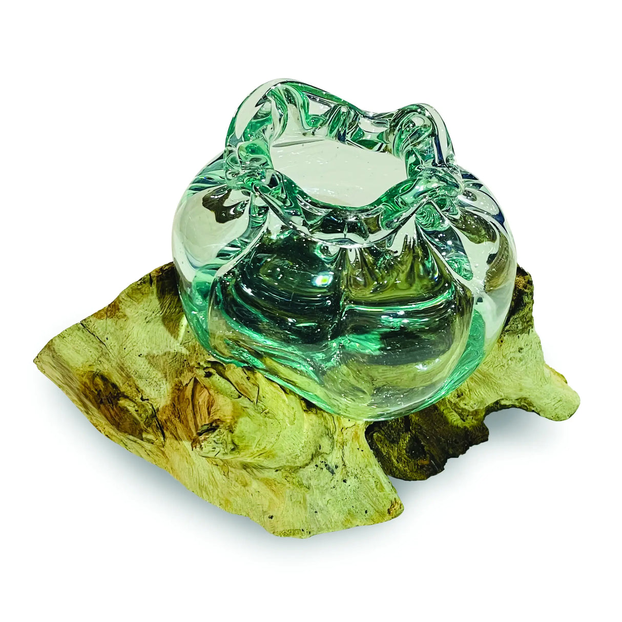 ROOT WITH MOLTEN CRINKLE GLASS BOWL SMALL