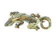 DRIFTWOOD WALL ART GECKO 50CM