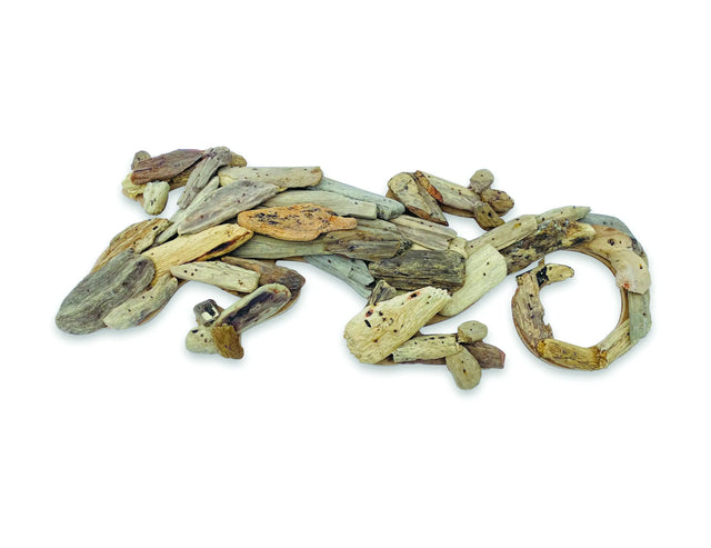 DRIFTWOOD WALL ART GECKO 50CM