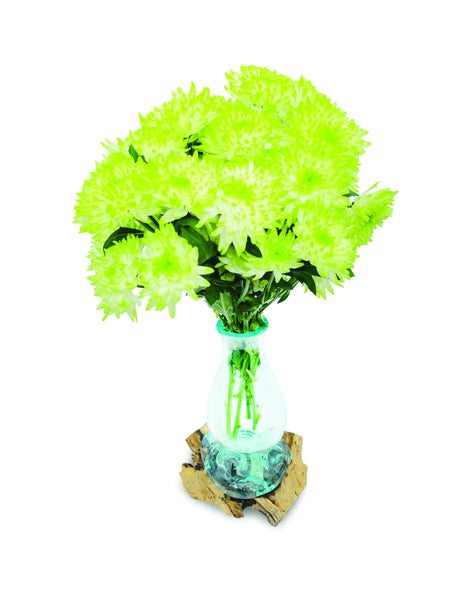 DRIFTWOOD WITH MOLTEN GLASS VASE 25CM