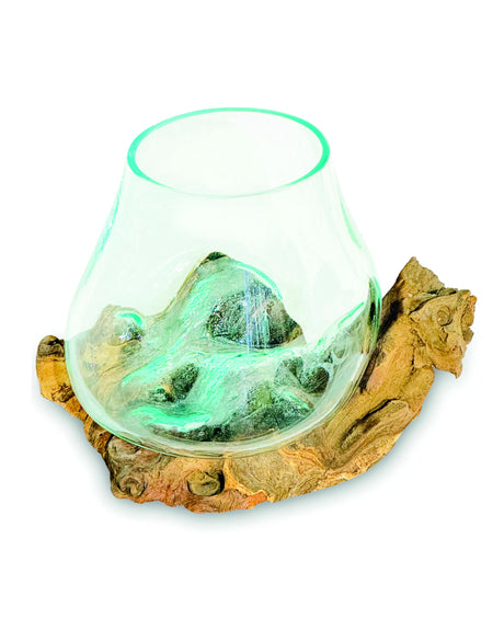 ROOT WITH GLASS BOWL EXTRA SMALL