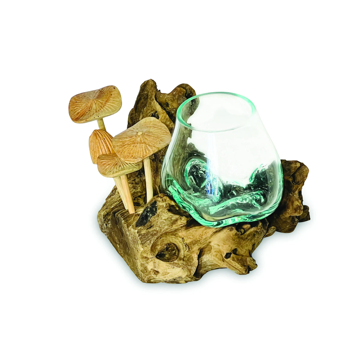 ROOT WITH MUSHROOMS AND  GLASS BOWL SMALL