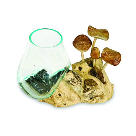 ROOT WITH MUSHROOMS AND  GLASS BOWL SMALL