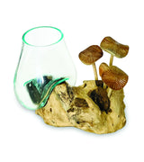 ROOT WITH MUSHROOMS AND  GLASS BOWL SMALL