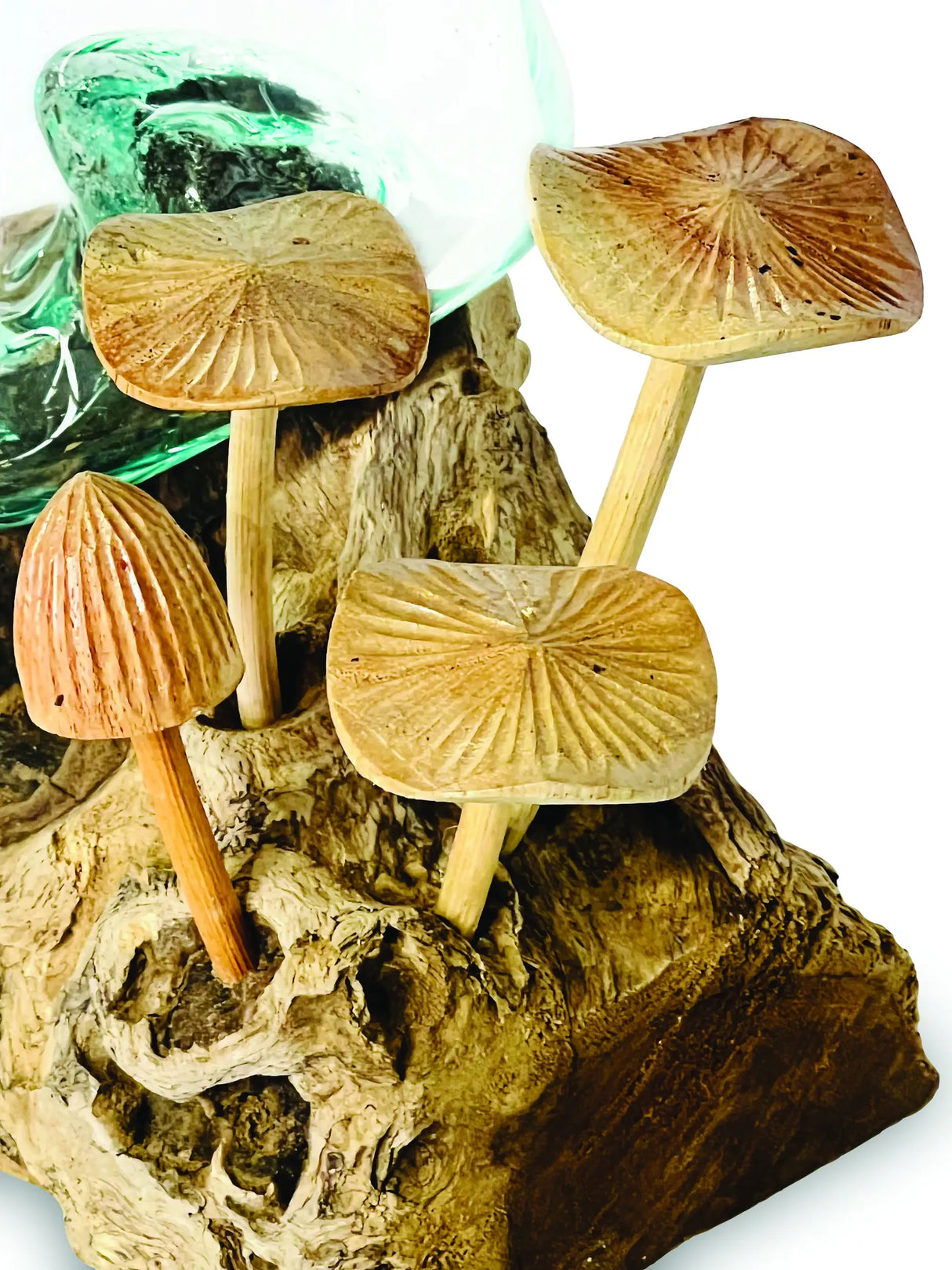 ROOT WITH MUSHROOMS AND  GLASS BOWL SMALL