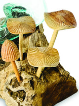 ROOT WITH MUSHROOMS AND  GLASS BOWL SMALL