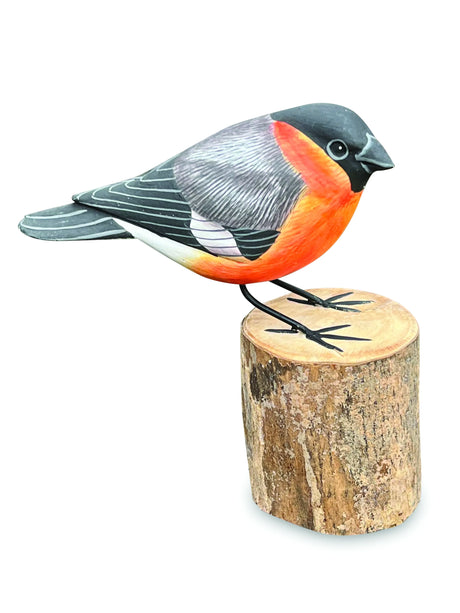 BULLFINCH