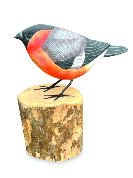 BULLFINCH