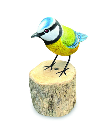 BLUE TIT