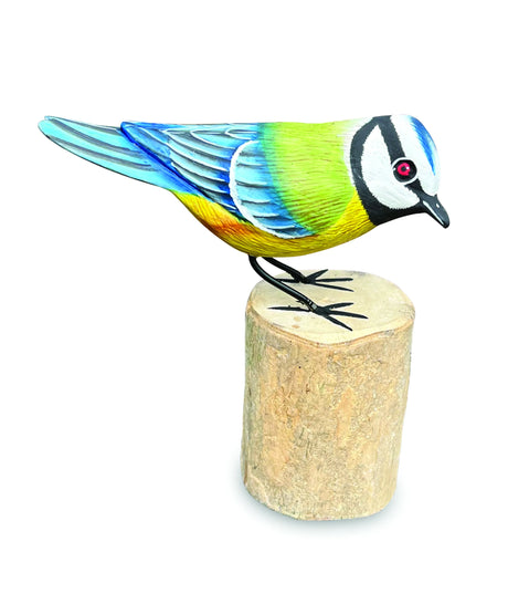 BLUE TIT