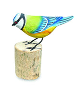 BLUE TIT