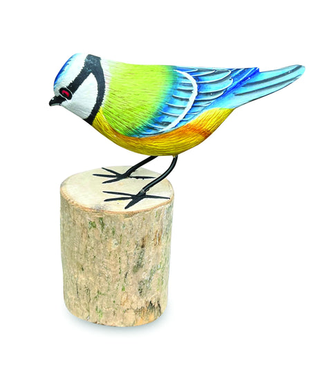 BLUE TIT