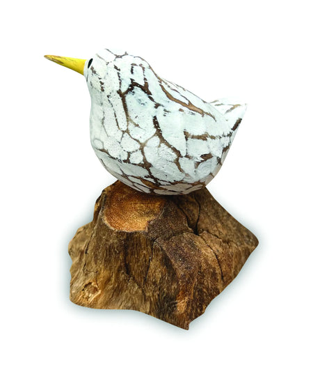 SINGLE WHITE BOOL BIRD ON ROOT