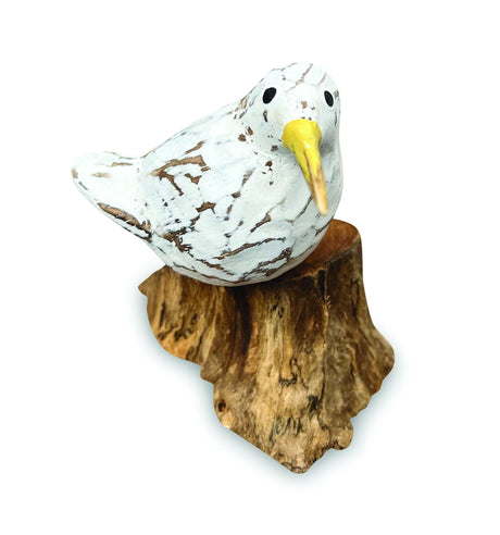 SINGLE WHITE BOOL BIRD ON ROOT