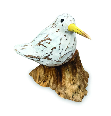 SINGLE WHITE BOOL BIRD ON ROOT