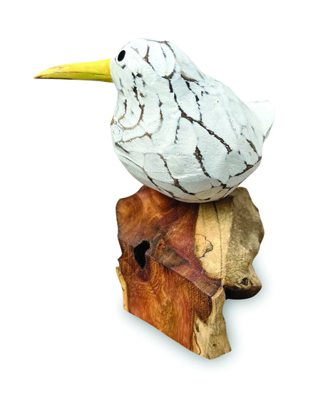 SINGLE WHITE BOOL BIRD ON ROOT