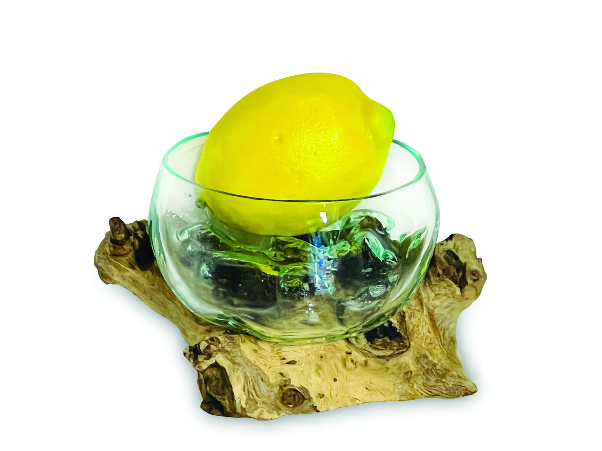 ROOT WITH GLASS FRUIT BOWL TINY