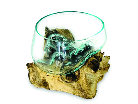 ROOT WITH GLASS FRUIT BOWL TINY
