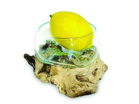 ROOT WITH GLASS FRUIT BOWL TINY