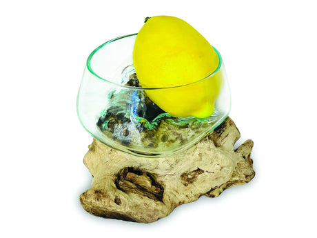 ROOT WITH GLASS FRUIT BOWL TINY