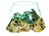 ROOT WITH GLASS FRUIT BOWL SMALL