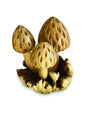 3 STRAWBERRY SHAPED BALI  MUSHROOMS