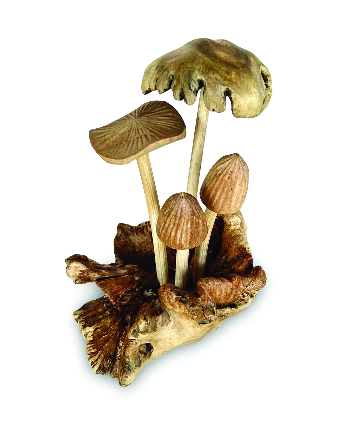 4 ASSORTED BALI MUSHROOMS