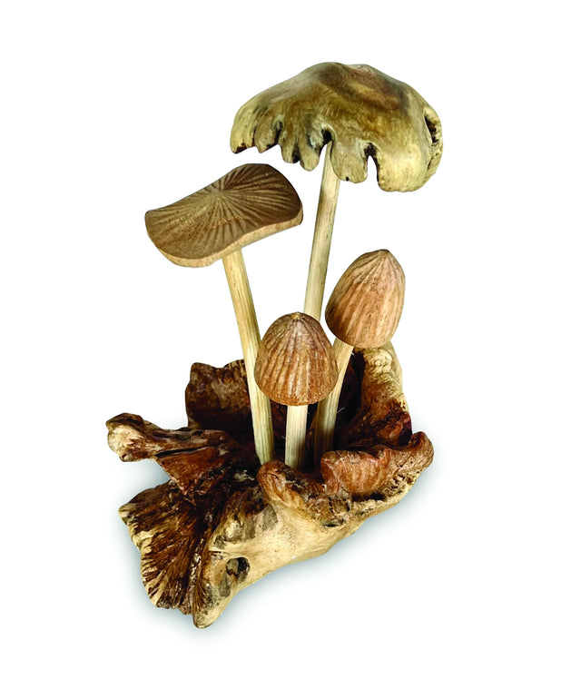 4 ASSORTED BALI MUSHROOMS