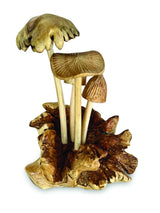 4 ASSORTED BALI MUSHROOMS