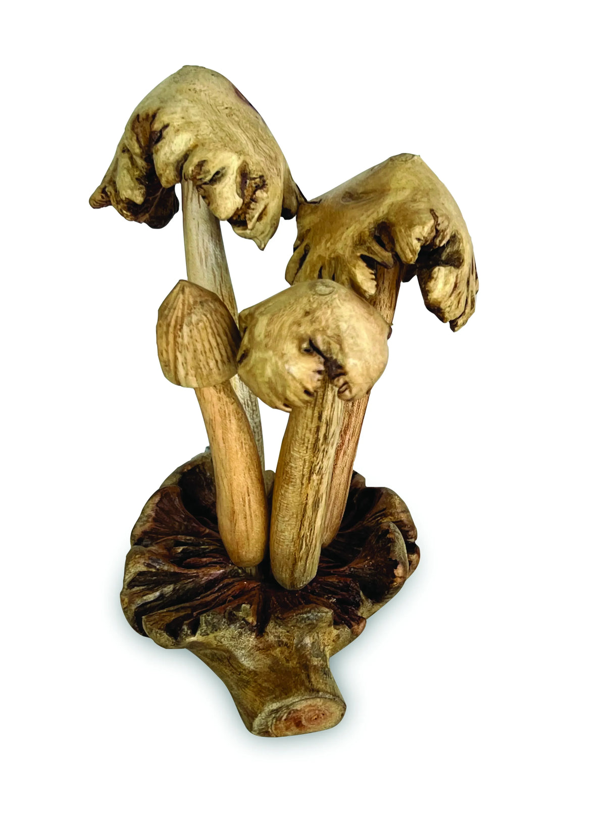 4 ERODED BALI MUSHROOMS