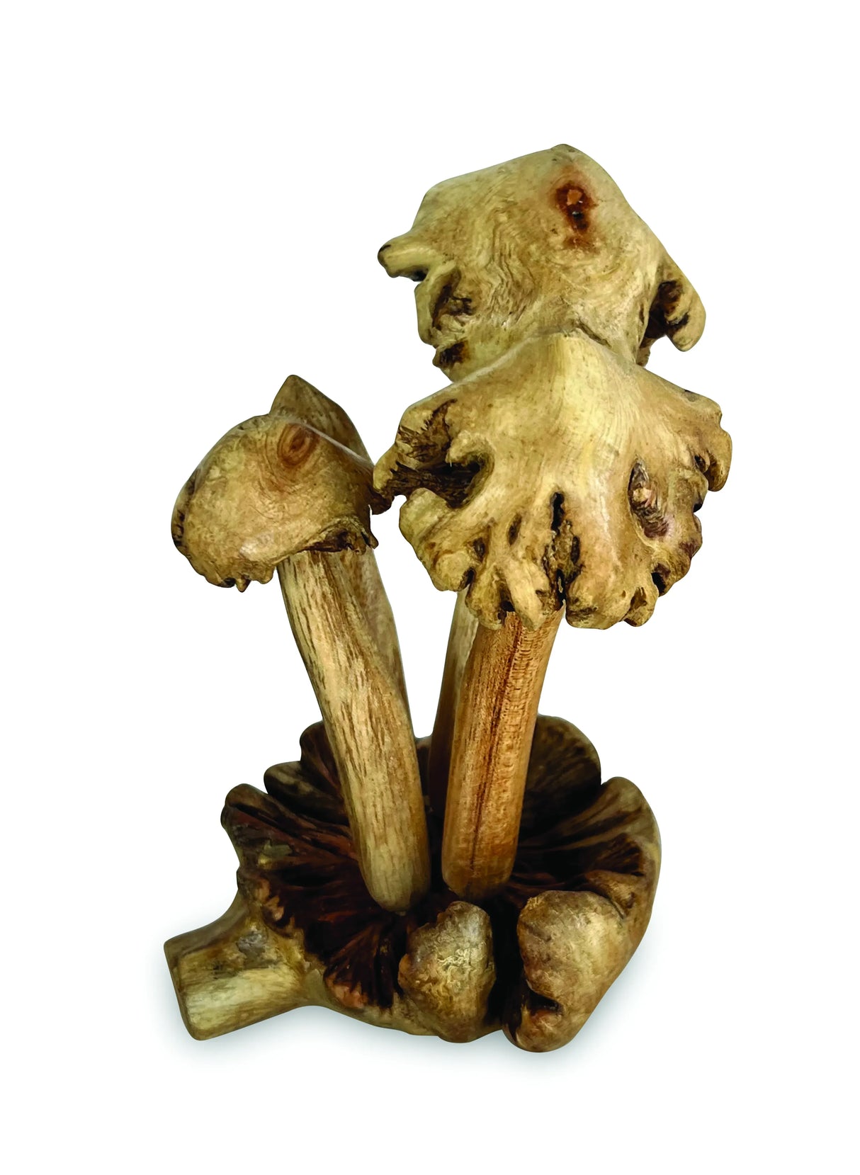 4 ERODED BALI MUSHROOMS