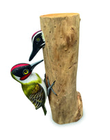 WOOD PECKER AND CHICK LARGE 28CM